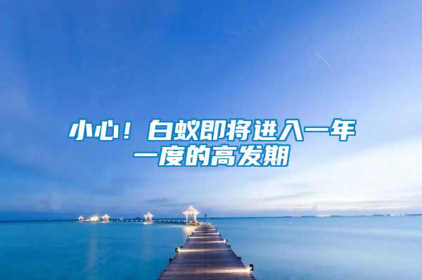 小心！白蟻即將進(jìn)入一年一度的高發(fā)期