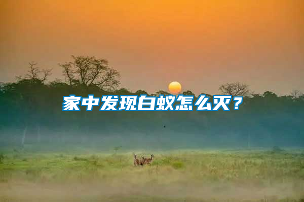 家中發(fā)現(xiàn)白蟻怎么滅？