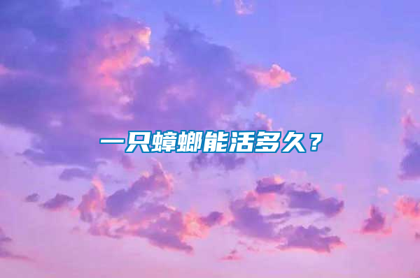 一只蟑螂能活多久？