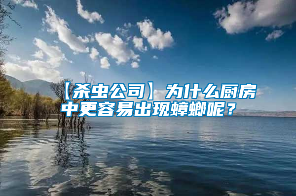 【殺蟲公司】為什么廚房中更容易出現(xiàn)蟑螂呢？