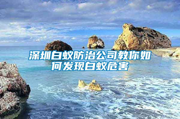 深圳白蟻防治公司教你如何發(fā)現(xiàn)白蟻危害