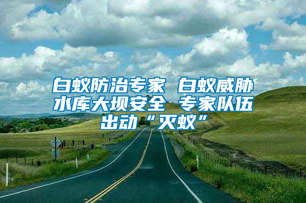 白蟻防治專家 白蟻威脅水庫大壩安全 專家隊(duì)伍出動(dòng)“滅蟻”