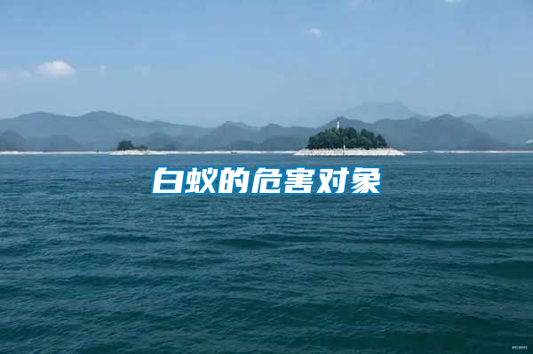 白蟻的危害對(duì)象