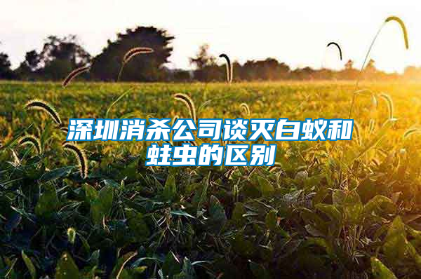 深圳消殺公司談滅白蟻和蛀蟲的區(qū)別